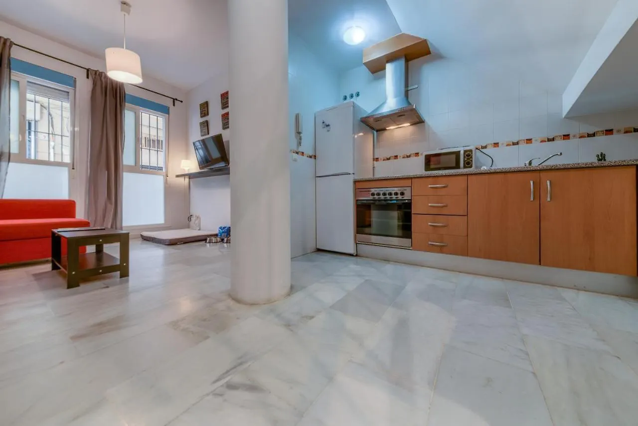 Novam Duplex Apartment Malaga